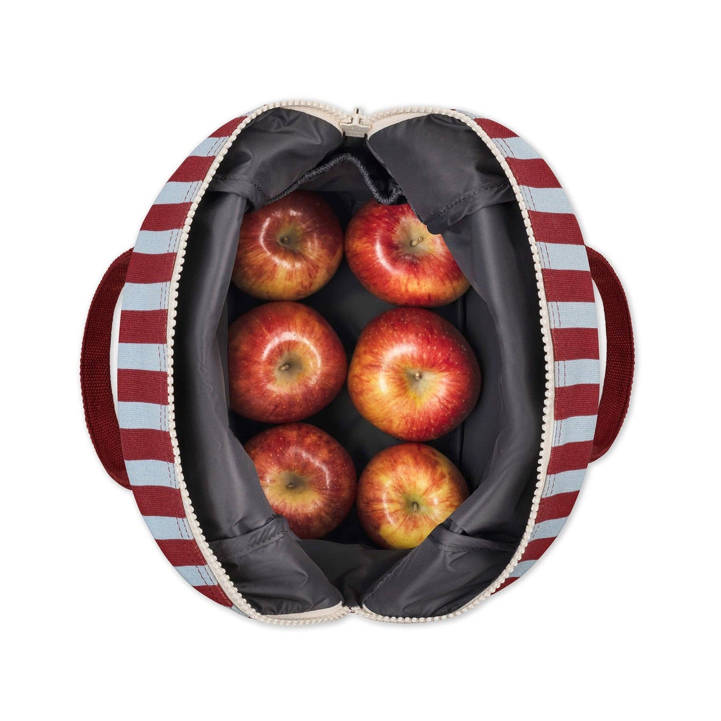 Handled Project Bag - Awning Stripe Chili Pepper