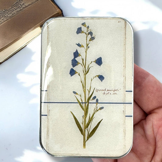 Bellflower Notions Tin - homesewn