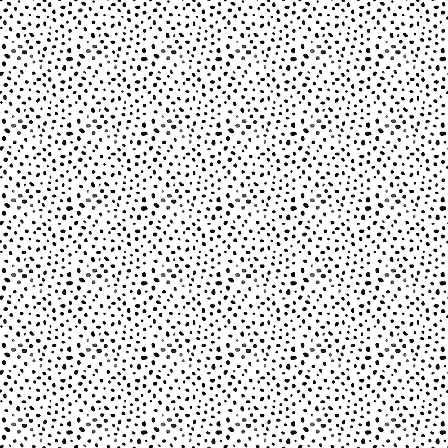 Cheet - Oh - Black - Quiet Riot - QUILTING COTTON/POPLIN - homesewn