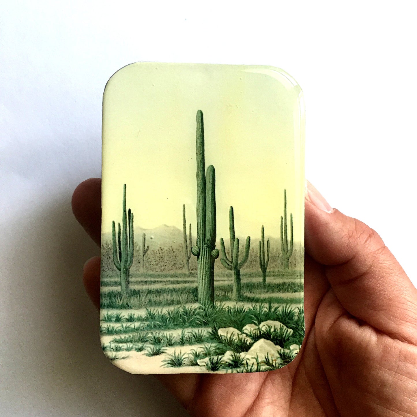 Desert Cactus Tin - homesewn
