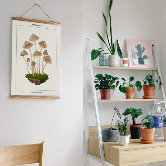 Mushroom Botanical | Modern Paint By Numbers Kit - homesewn