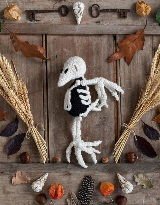 Poe the Raven Skeleton Crochet Kit - homesewn