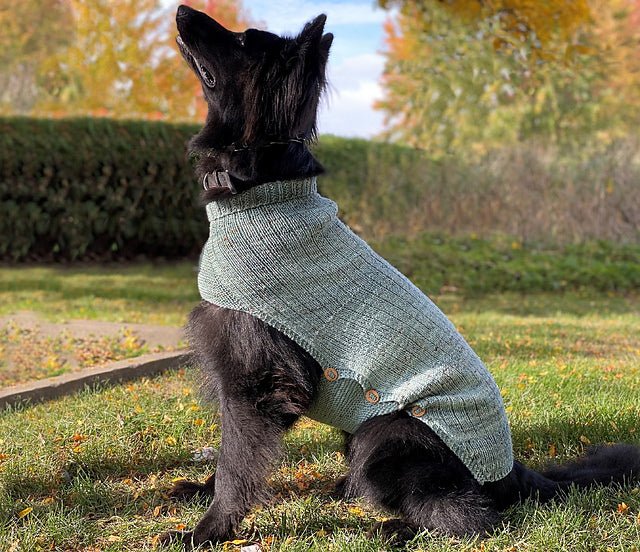 Whisky Dog Sweater Knitting Class - homesewn