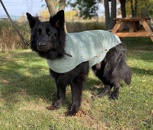 Whisky Dog Sweater Knitting Class - homesewn