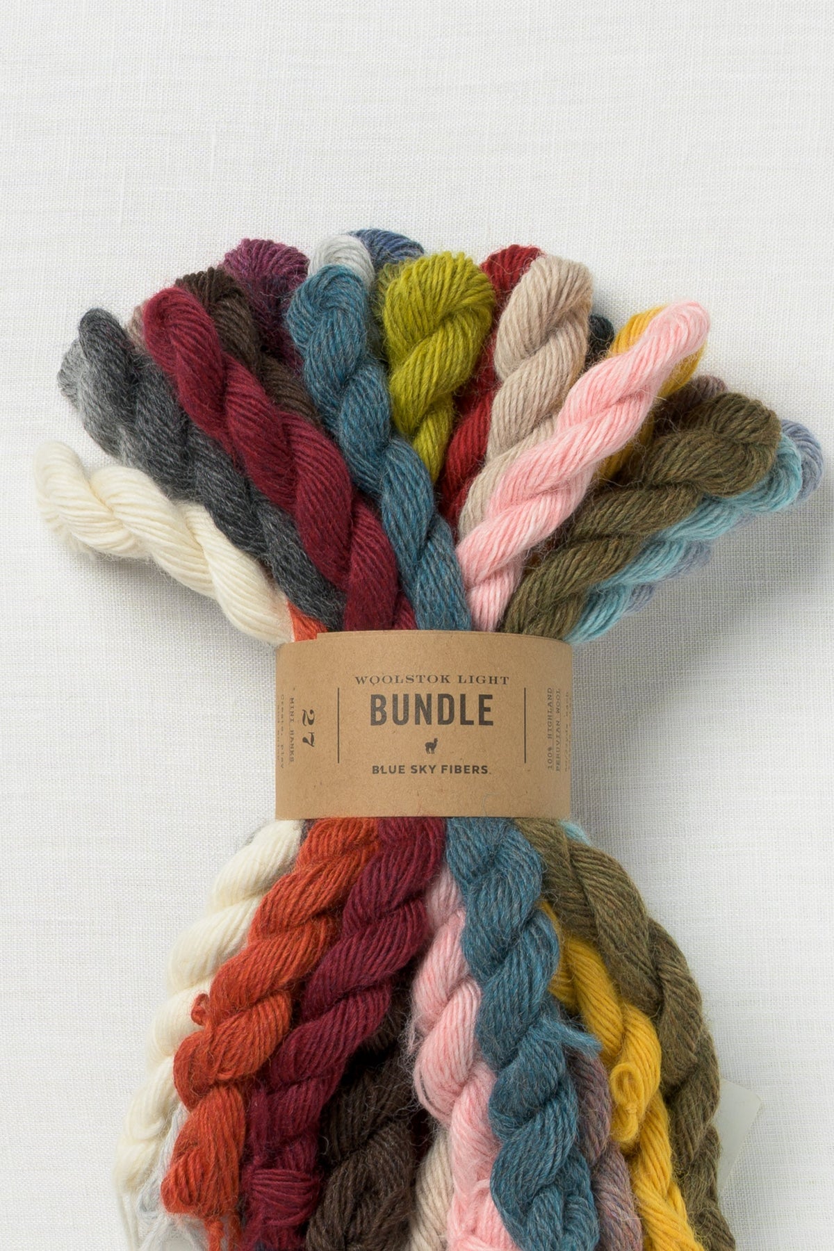 Blue Sky Fibers Woolstok Light 27 Color Bundle