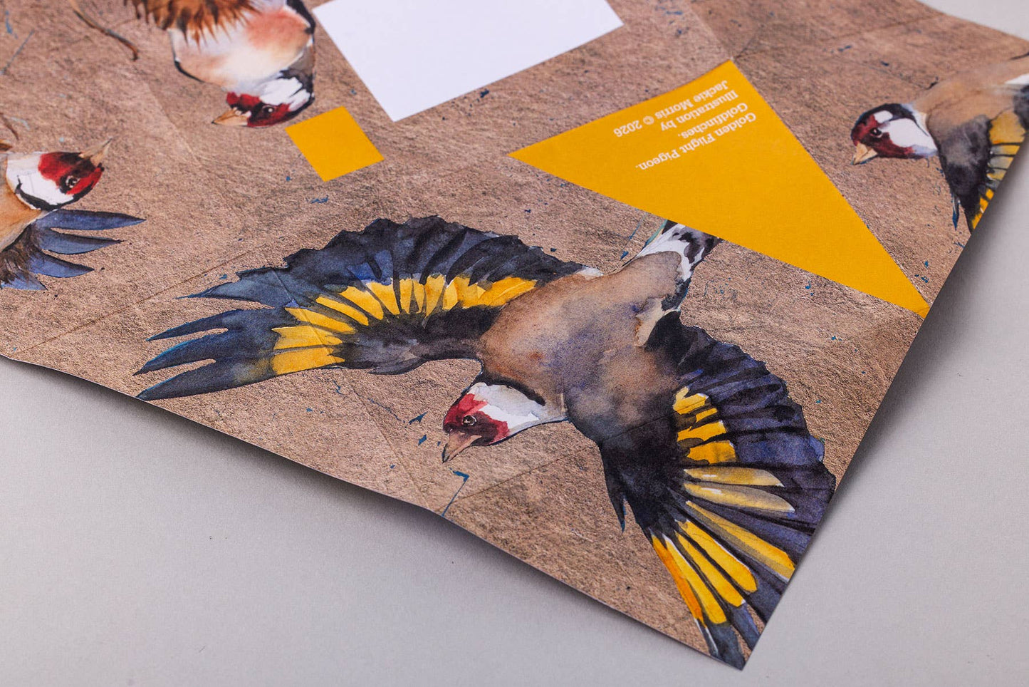 Golden Flight Pigeon, Folding Letter Set – pack of 6 (US)