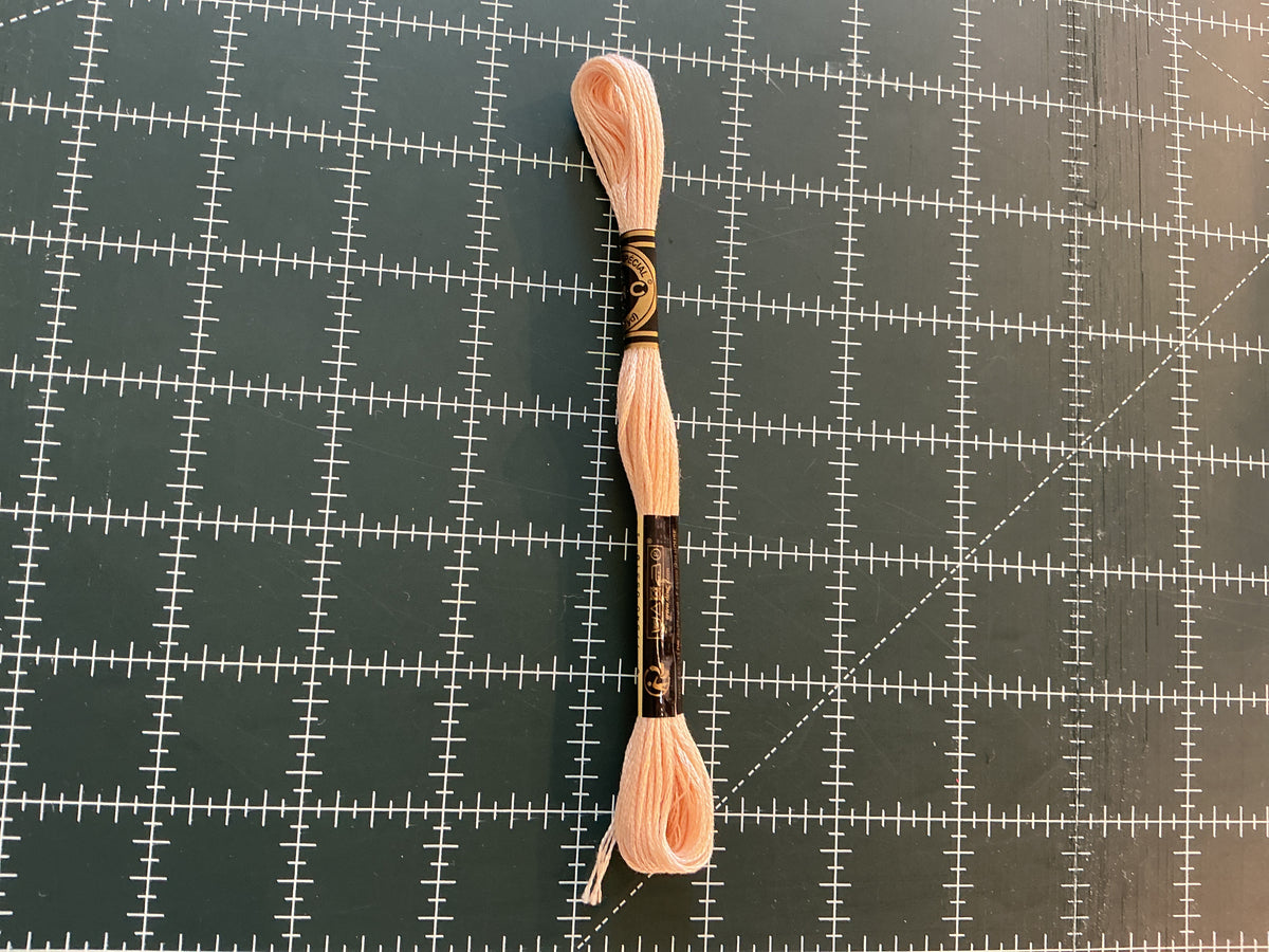 900+ DMC Embroidery Floss