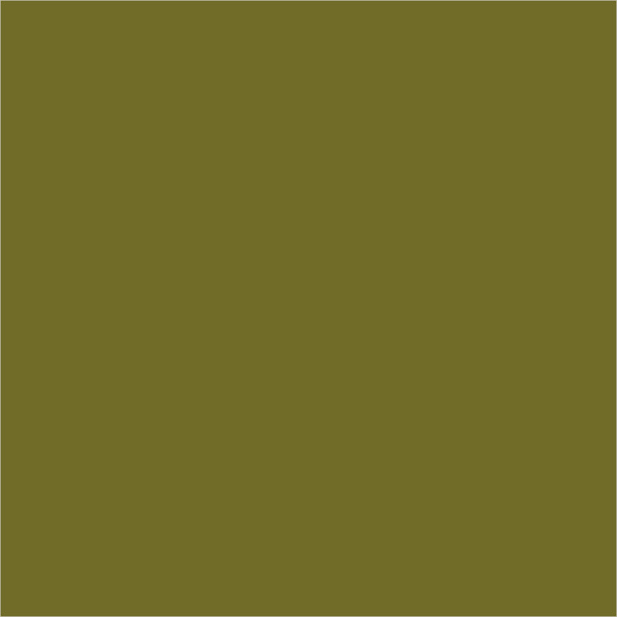 Canvas & Co. Solids Olive 55539C-12