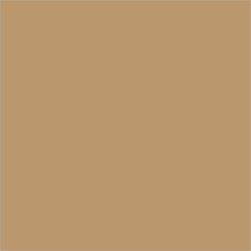 Canvas & Co. Solids Tan 55539C-8