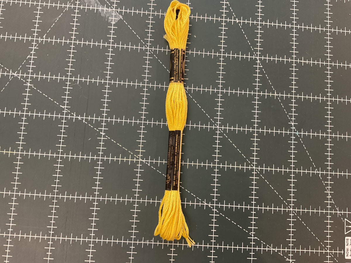 A-199 DMC Embroidery Floss