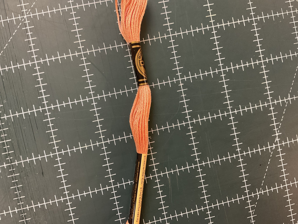 900+ DMC Embroidery Floss