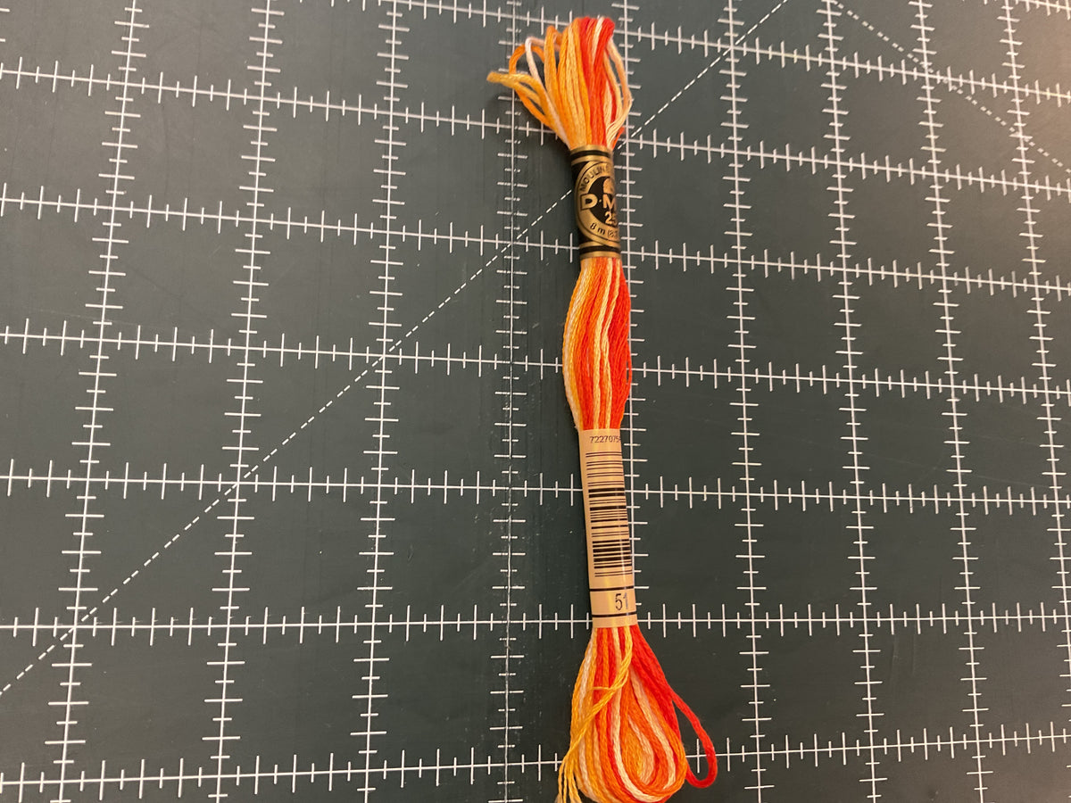 A-199 DMC Embroidery Floss