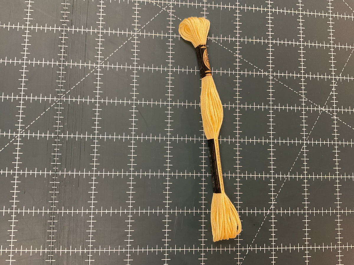 401-900 DMC Embroidery Floss