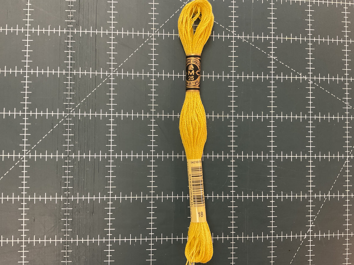A-199 DMC Embroidery Floss