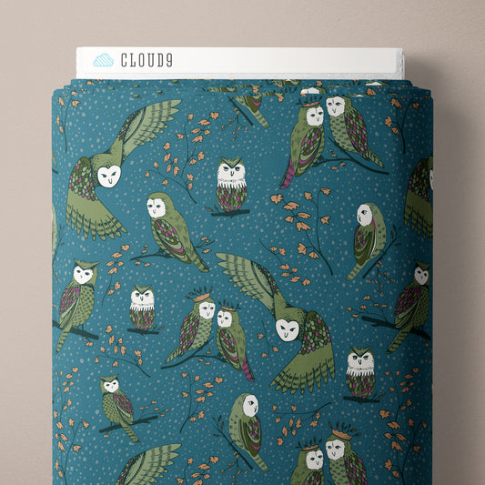 Owlette Teal - Black Forest by Jayme Murray for Cloud9 Fabrics