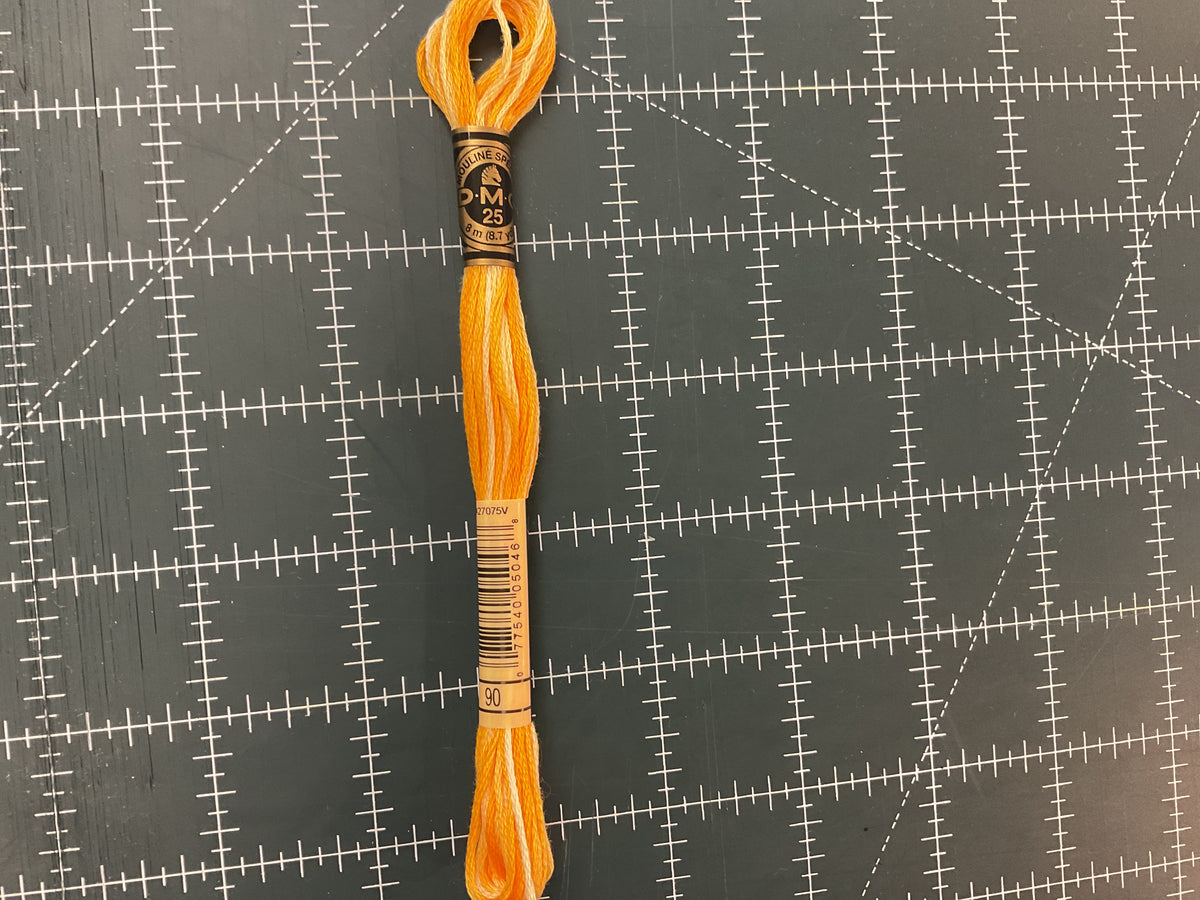 A-199 DMC Embroidery Floss