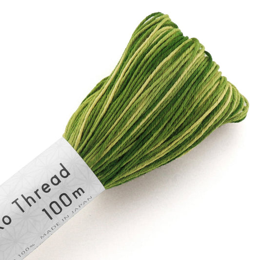 Sashiko Thread Large Skein Variegated Green and Light Green