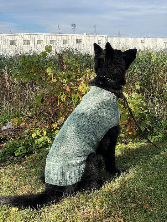 Whisky Dog Sweater Knitting Class