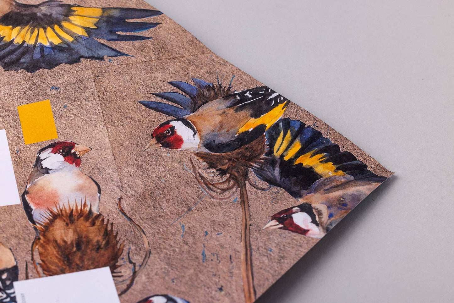 Golden Flight Pigeon, Folding Letter Set – pack of 6 (US)