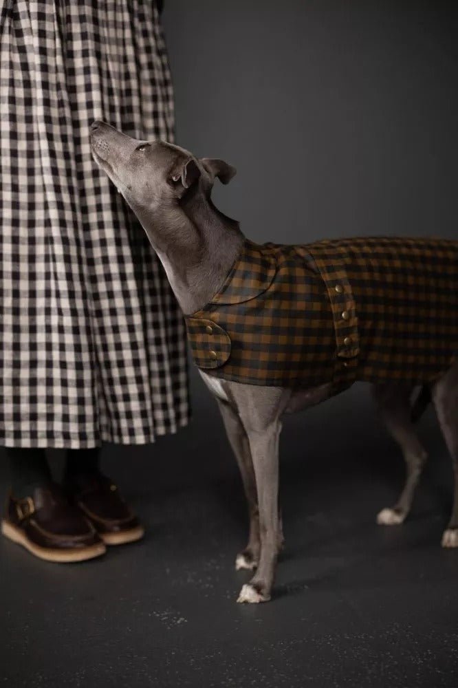 BARKA Dog Coat *less than 1m - PDF PATTERN - homesewn