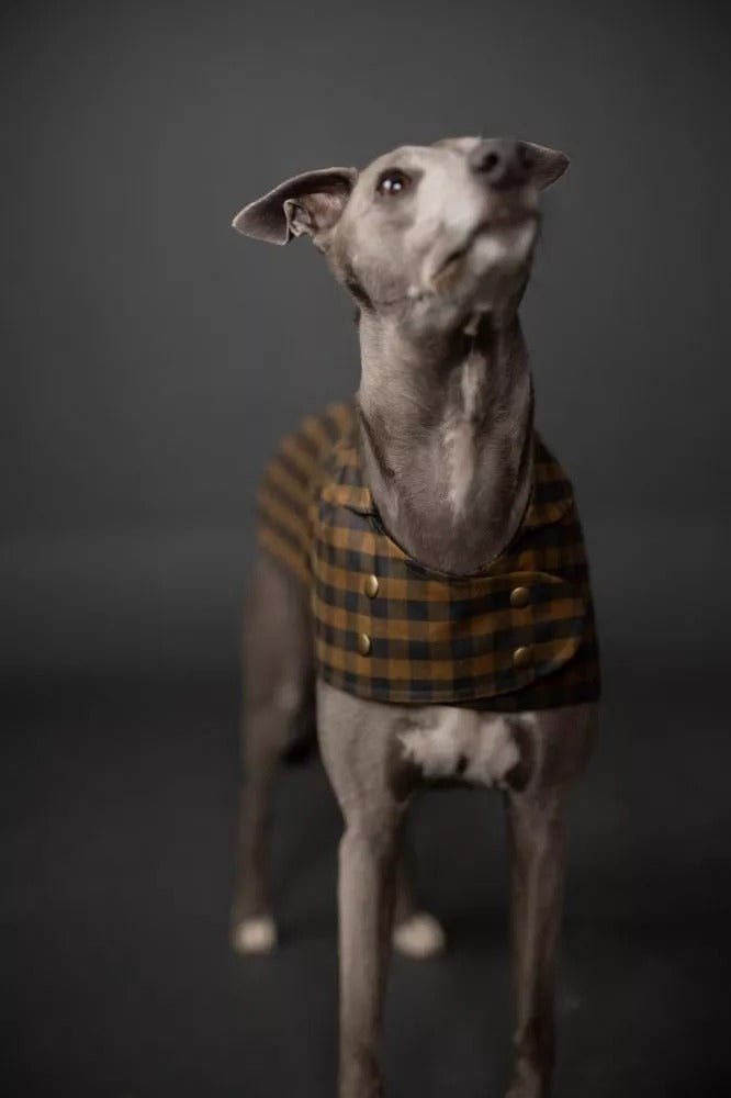 BARKA Dog Coat *less than 1m - PDF PATTERN - homesewn
