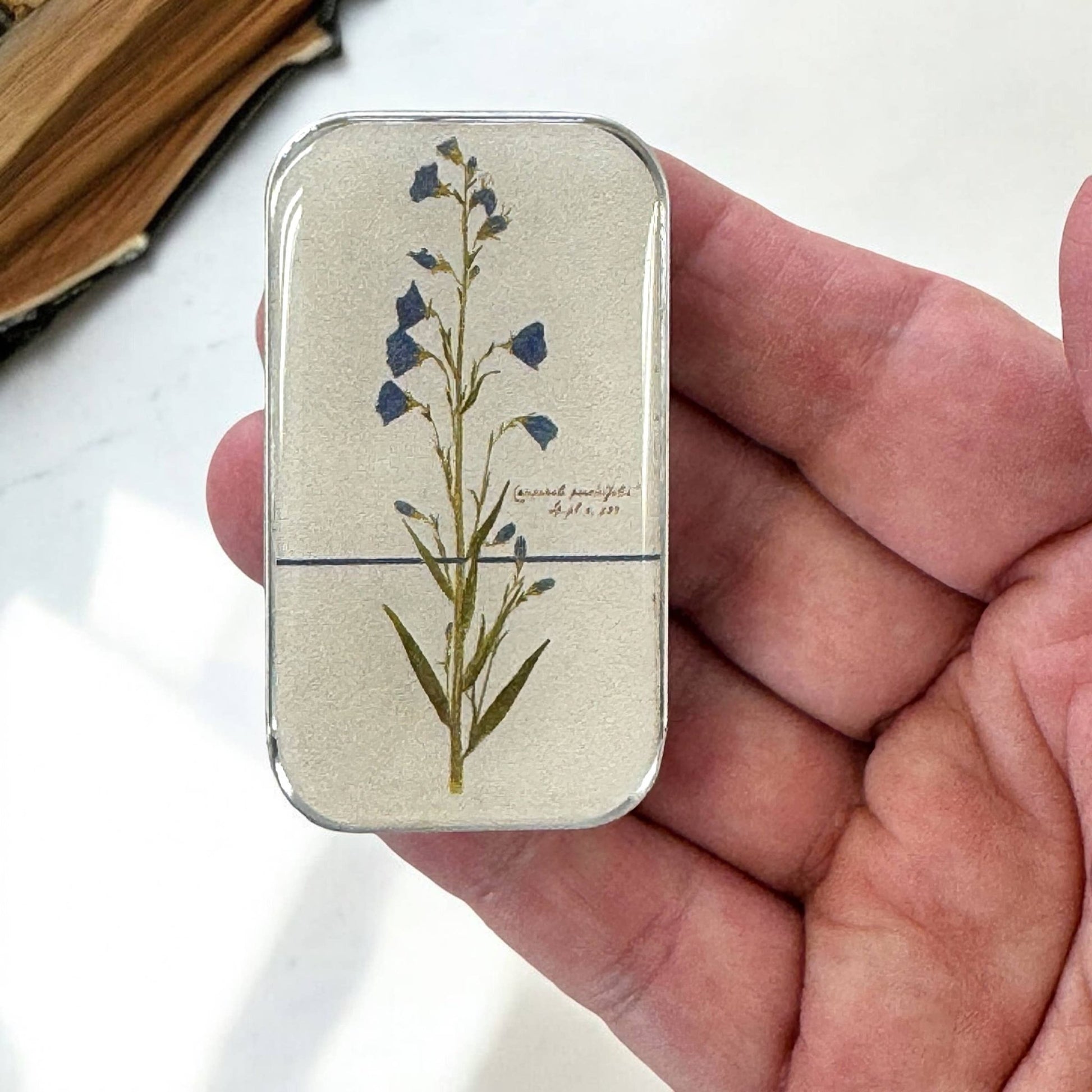 Bellflower Notions Tin - homesewn