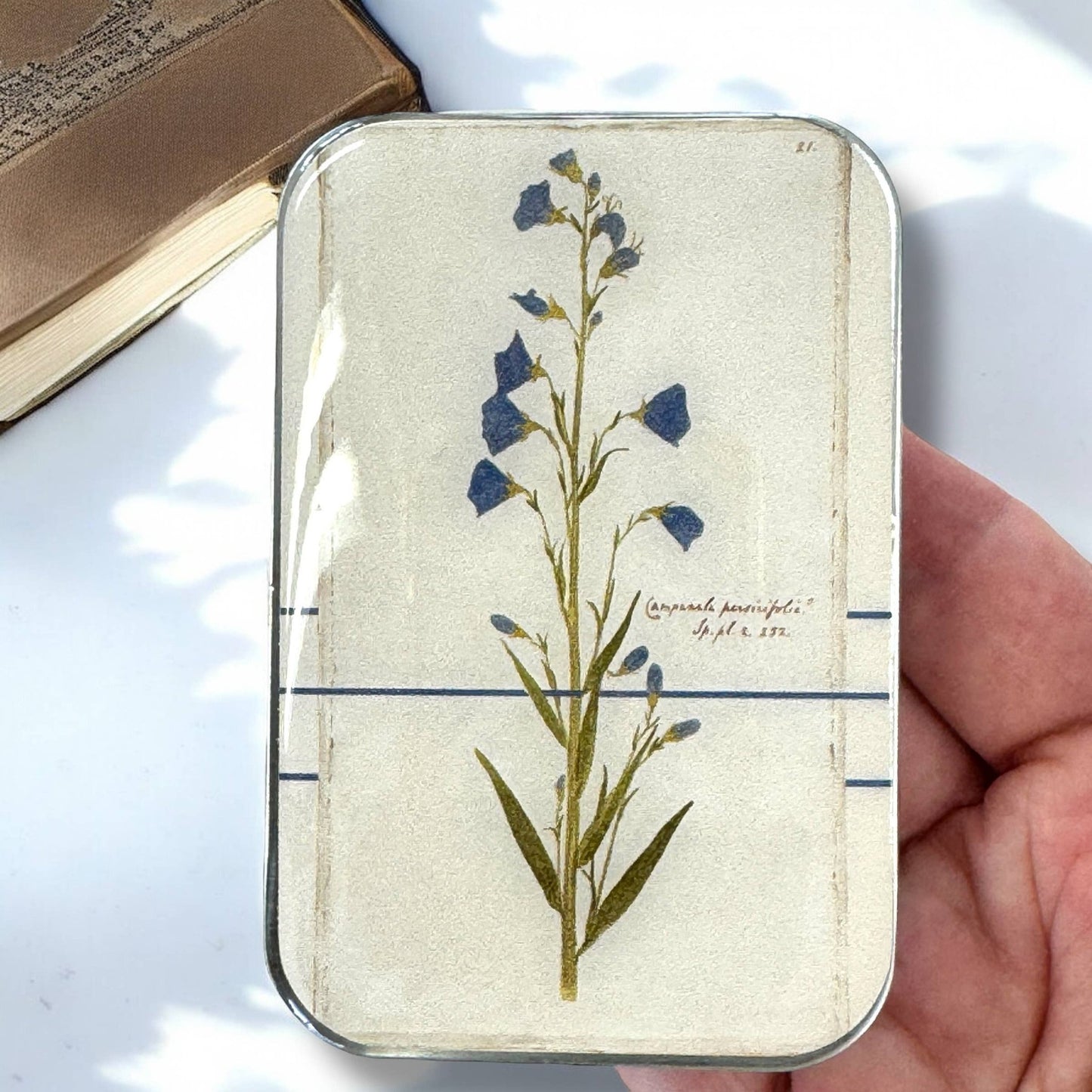 Bellflower Notions Tin - homesewn