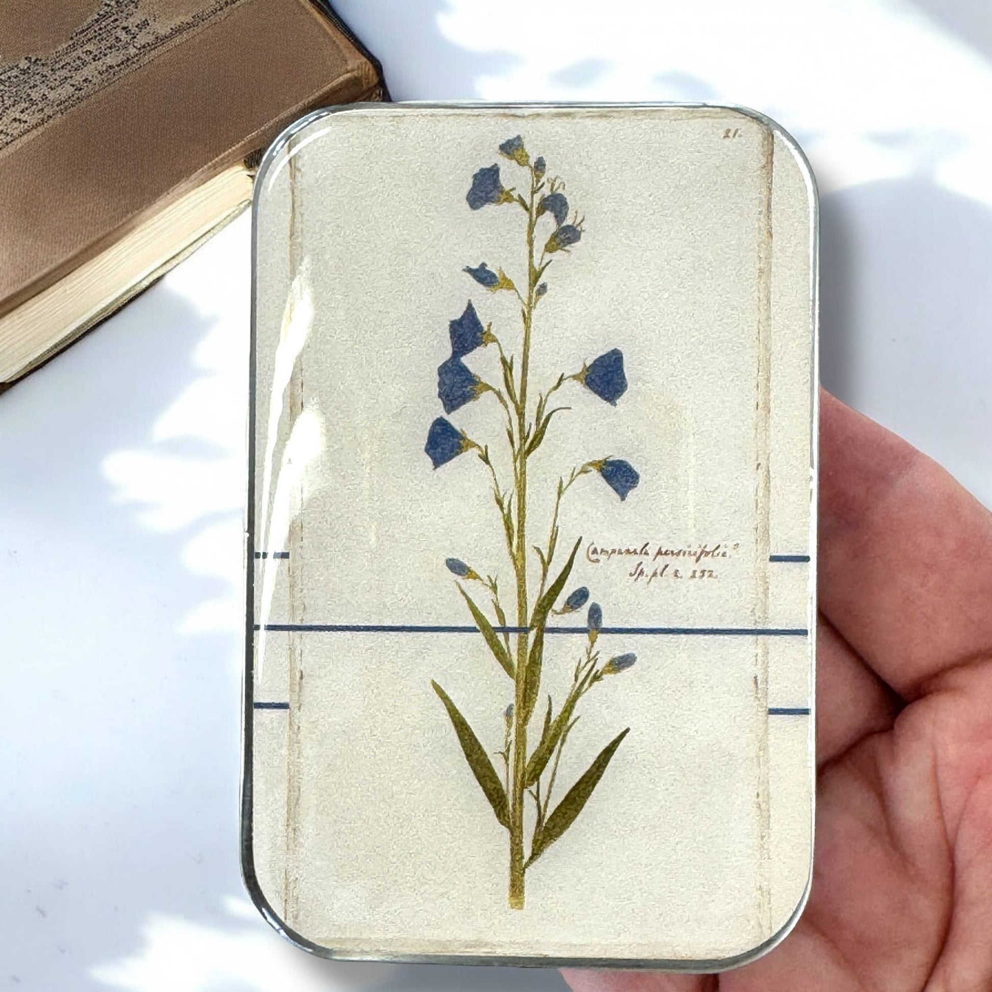 Bellflower Notions Tin - homesewn