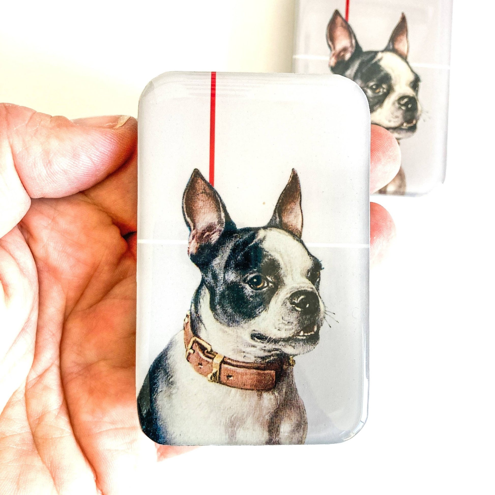 Boston Terrier notions tin - homesewn