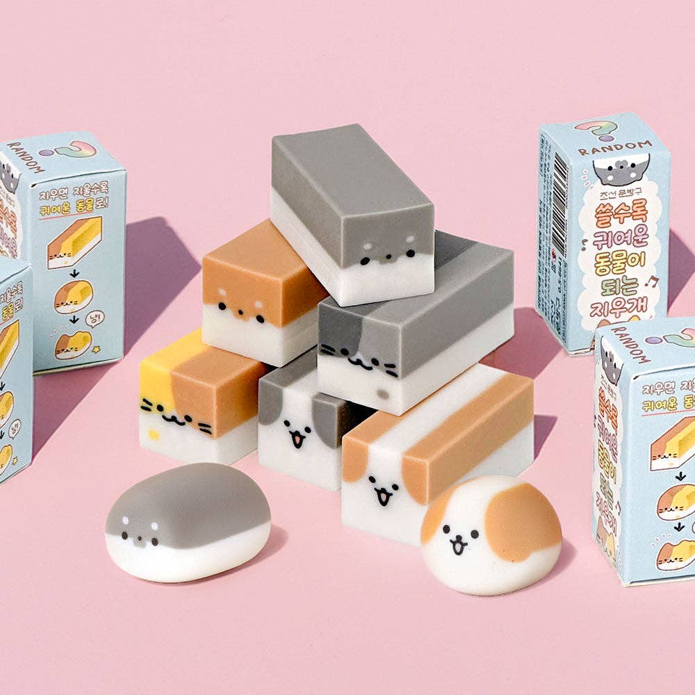 Magic Transform Animal Eraser – Cute Blind Box Puzzle Eraser