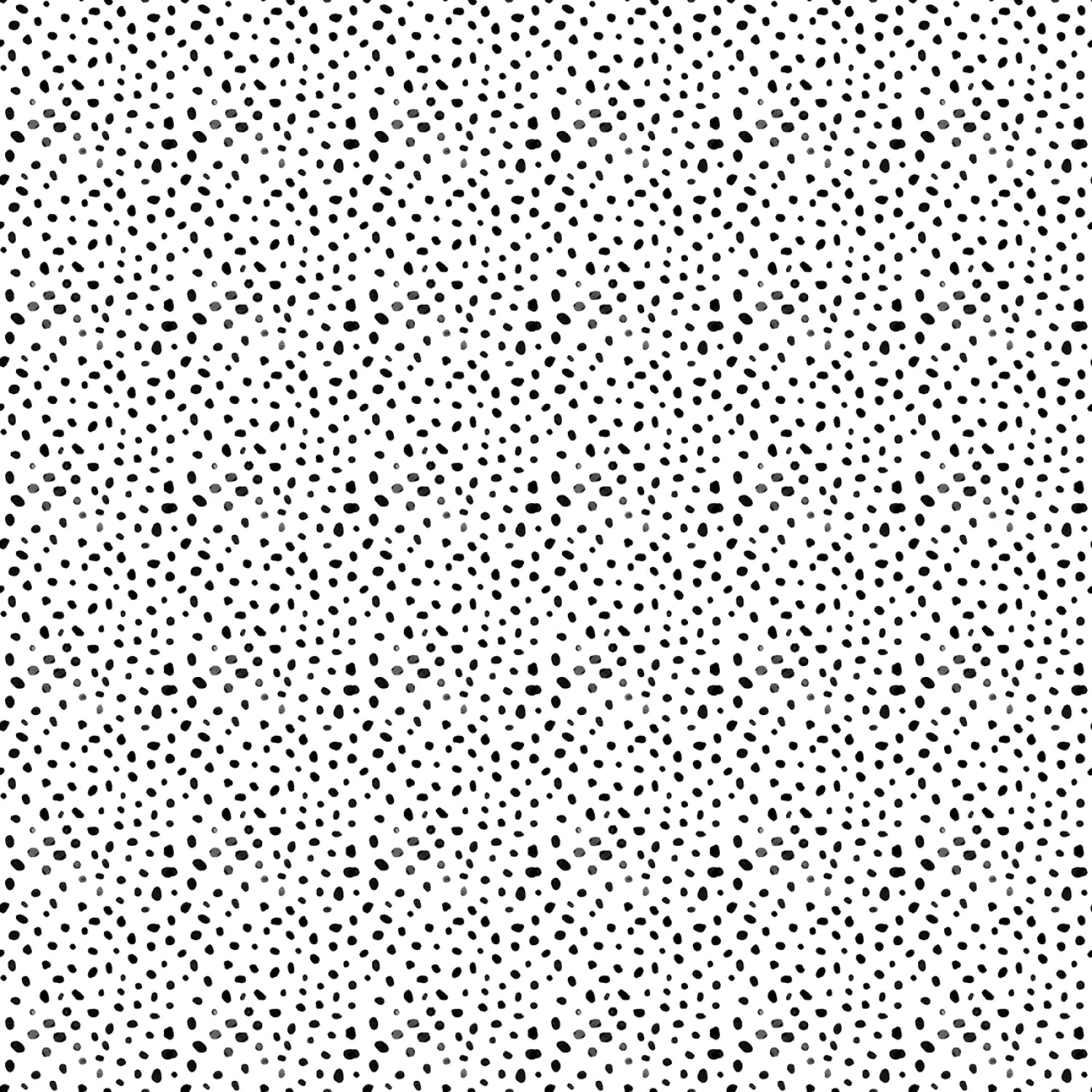 Cheet - Oh - Black - Quiet Riot - QUILTING COTTON/POPLIN - homesewn