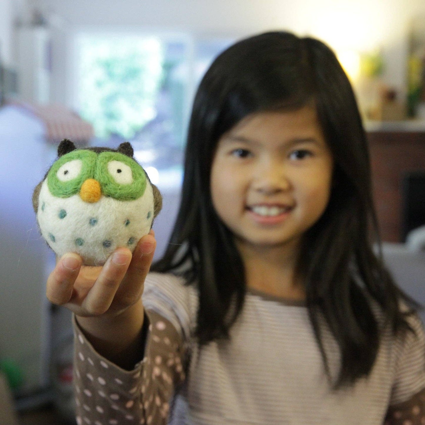 DIY Needle Felting Kit - Owl - homesewn