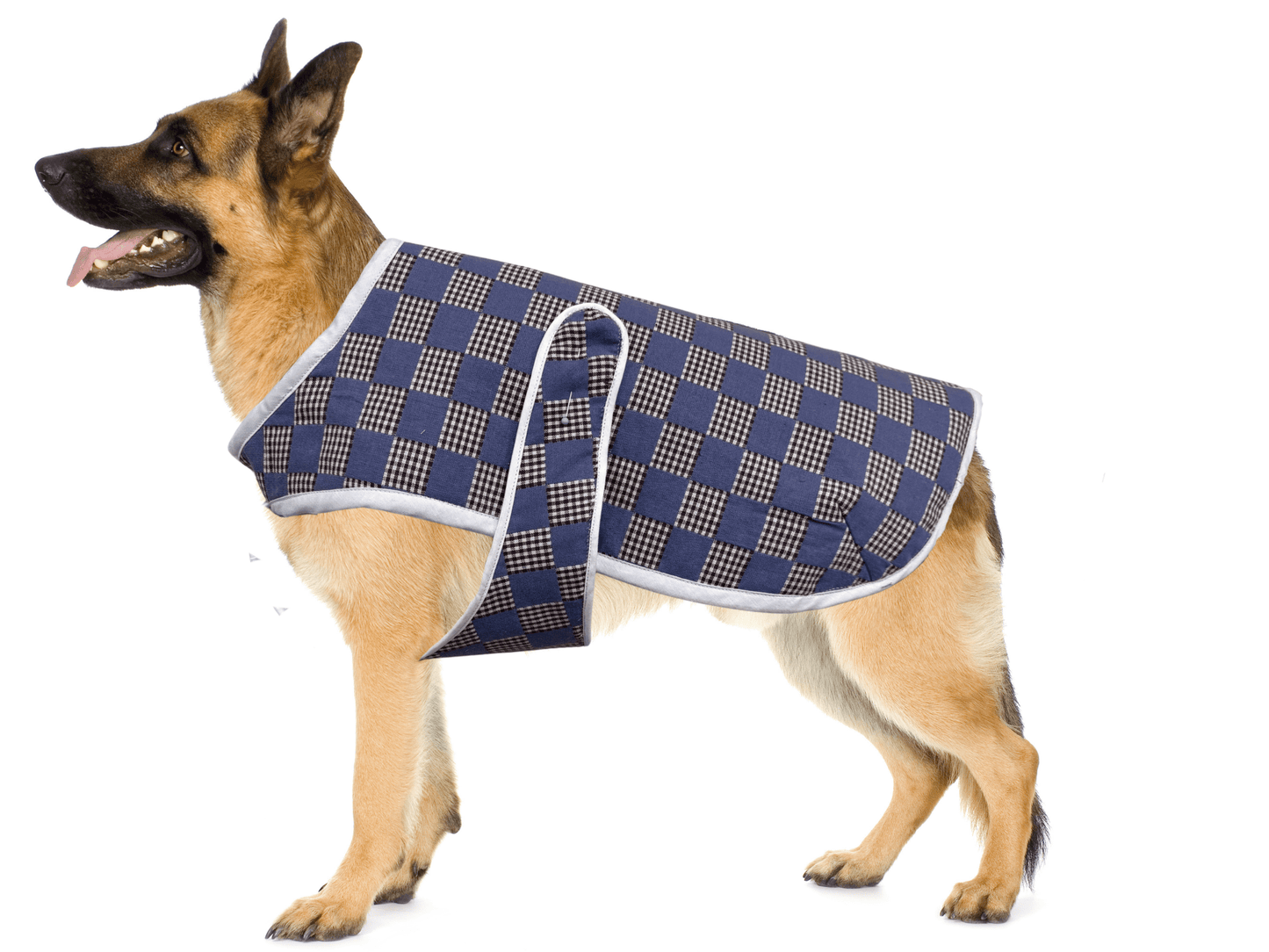 Dog Coat Sewing Class - homesewn