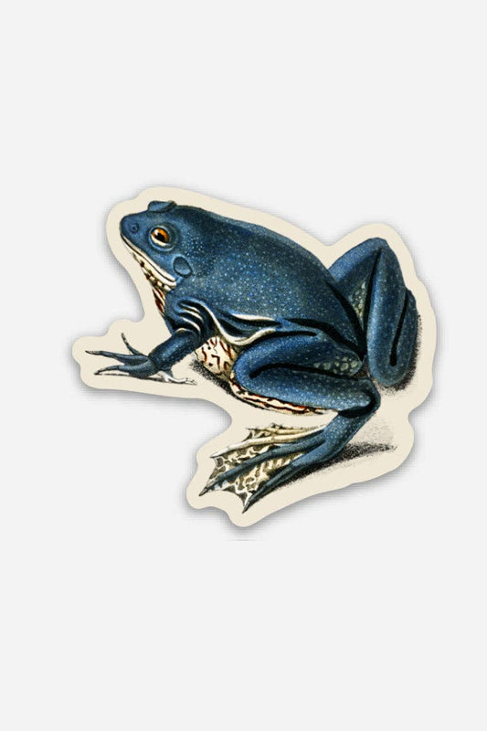 Exasperated Frog - Gap Filler Sticker - homesewn