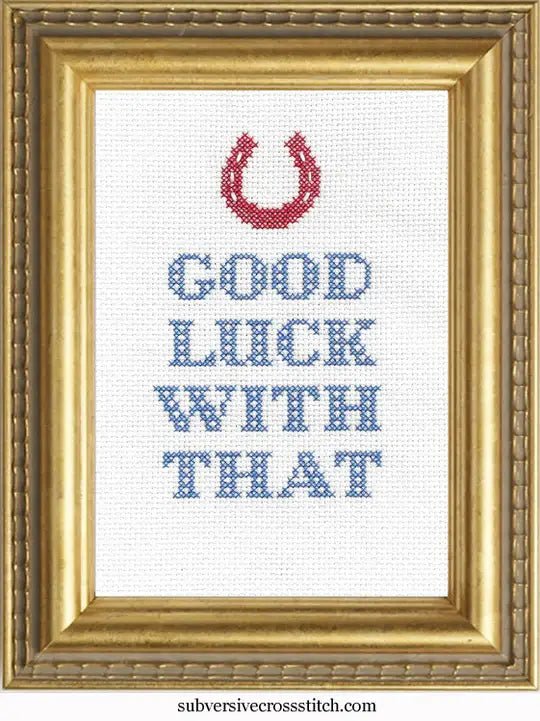 Good Luck WIth That Deluxe Cross Stitch Kit - homesewn