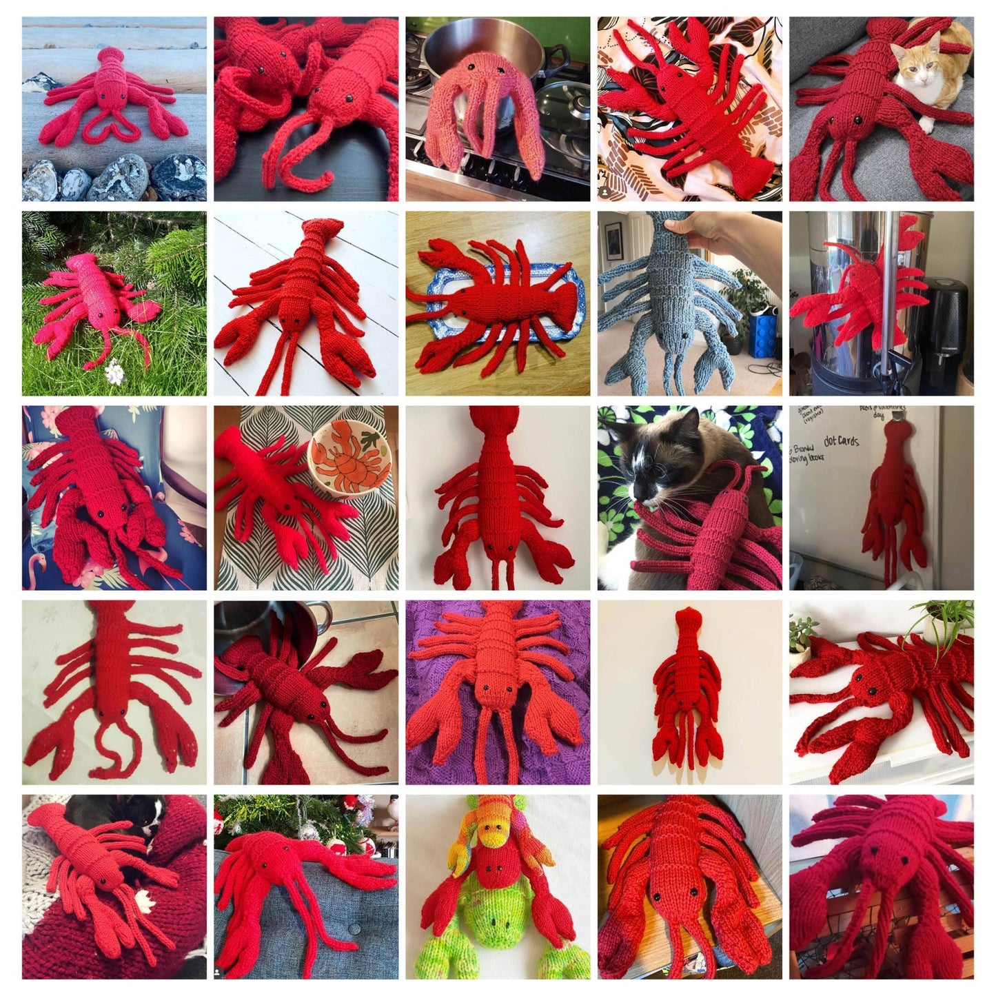 Lobster Knitting Kit - homesewn