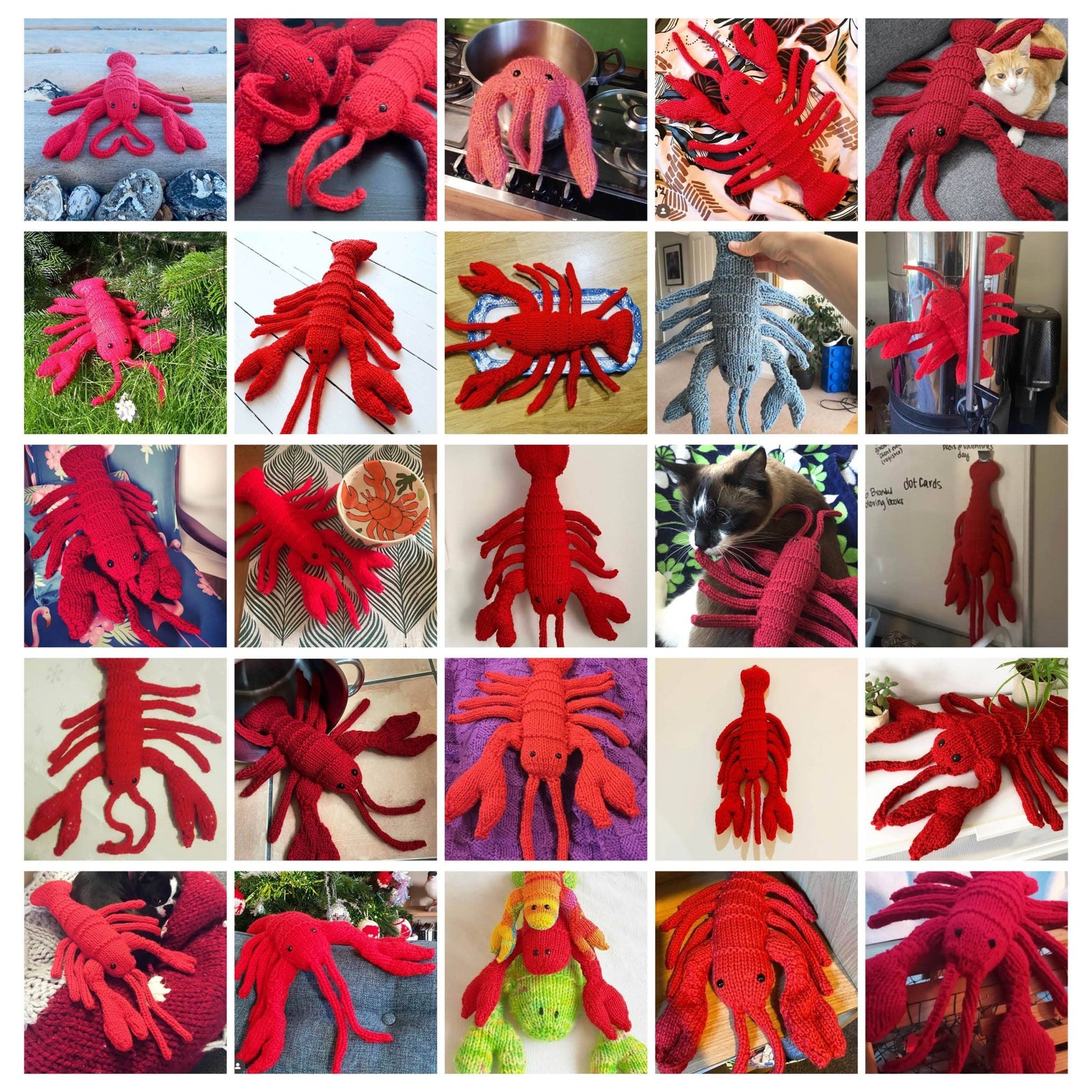 Lobster Knitting Kit - homesewn