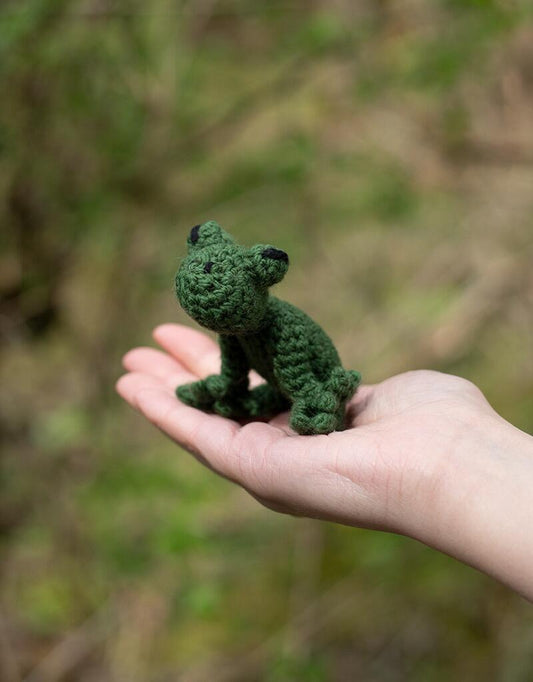 Mini Robert the Frog Crochet Kit - homesewn