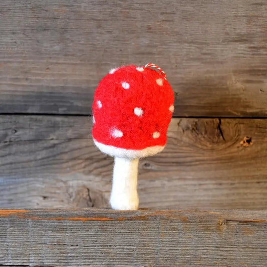 Mushroom Needle Felting Kit, spring craft, Beginner Craft - homesewn