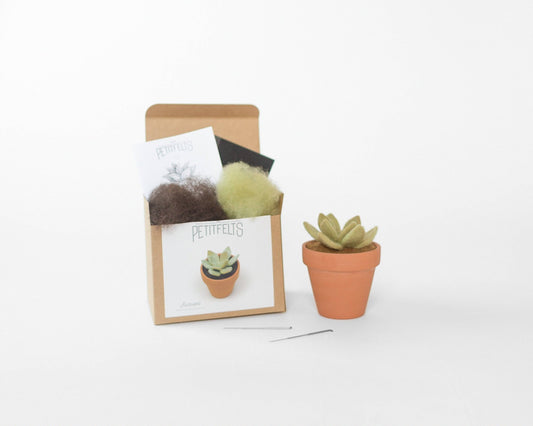 Needle Felting Kit -  Succulent - homesewn