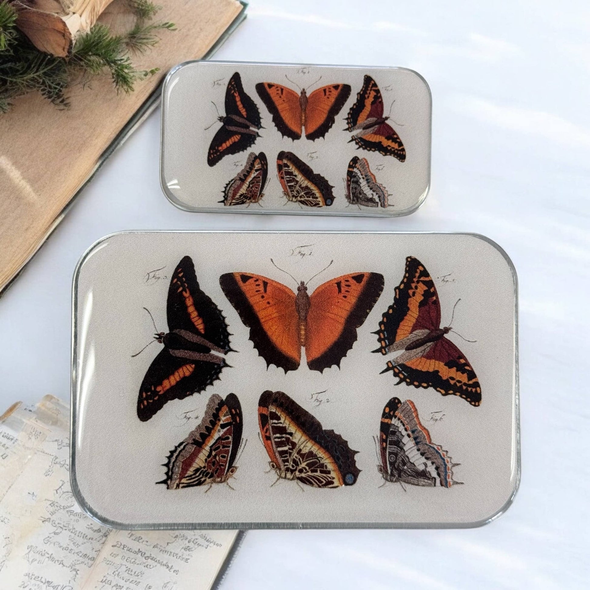 Orange Butterflies Notions Tin - homesewn