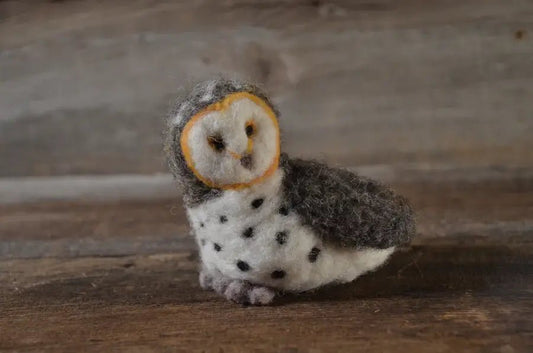 Owl Needle Felting Kit - homesewn