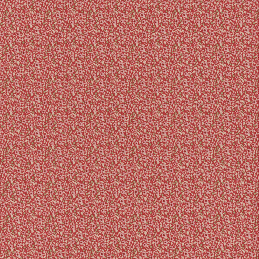 Brie Basics - Red