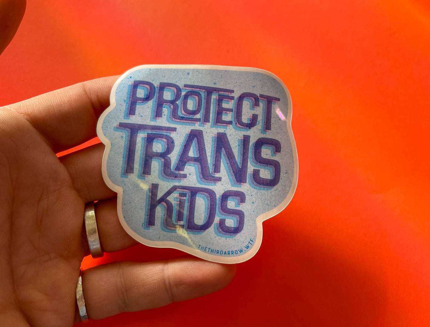 Protect Trans Kids vinyl sticker - homesewn
