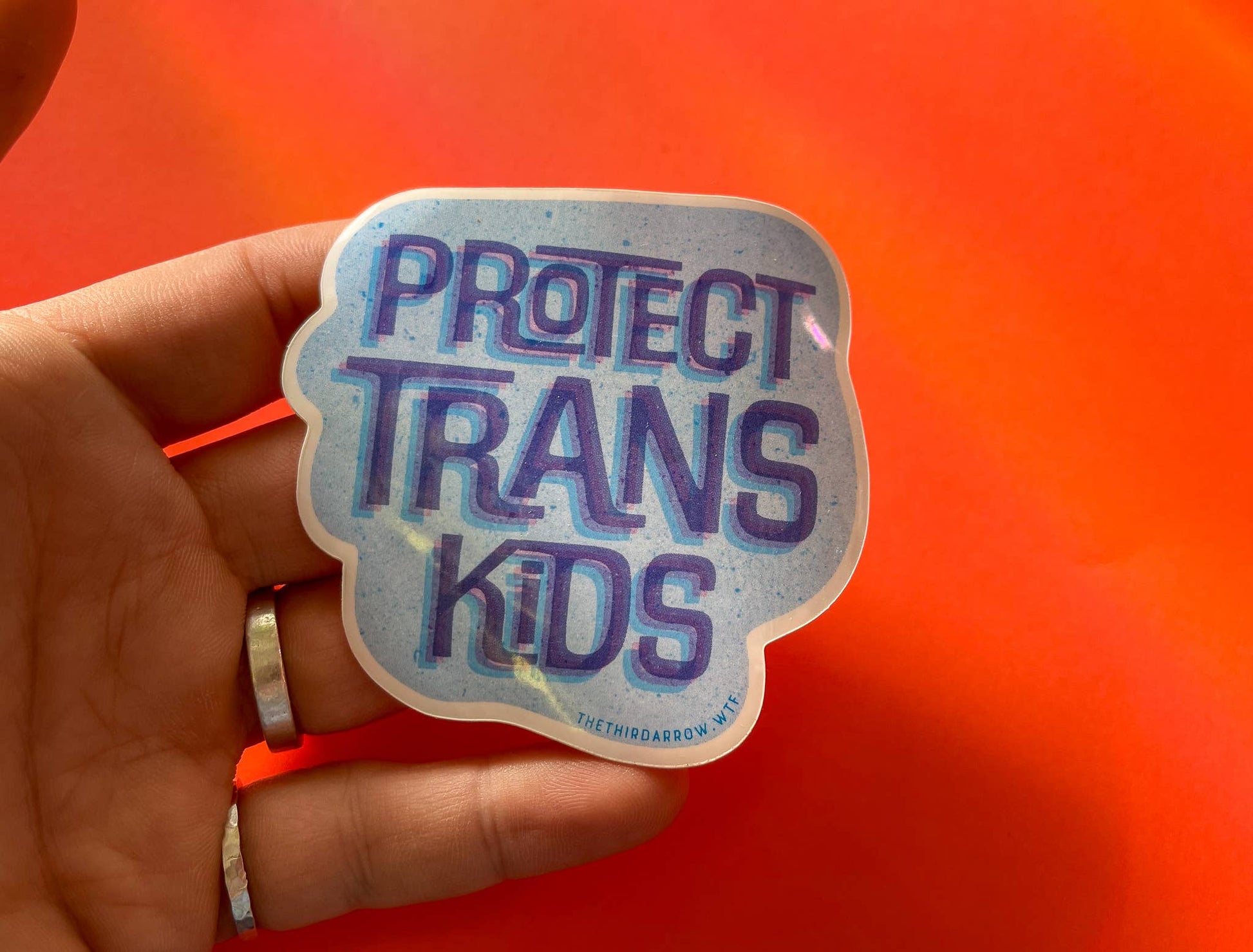 Protect Trans Kids vinyl sticker - homesewn