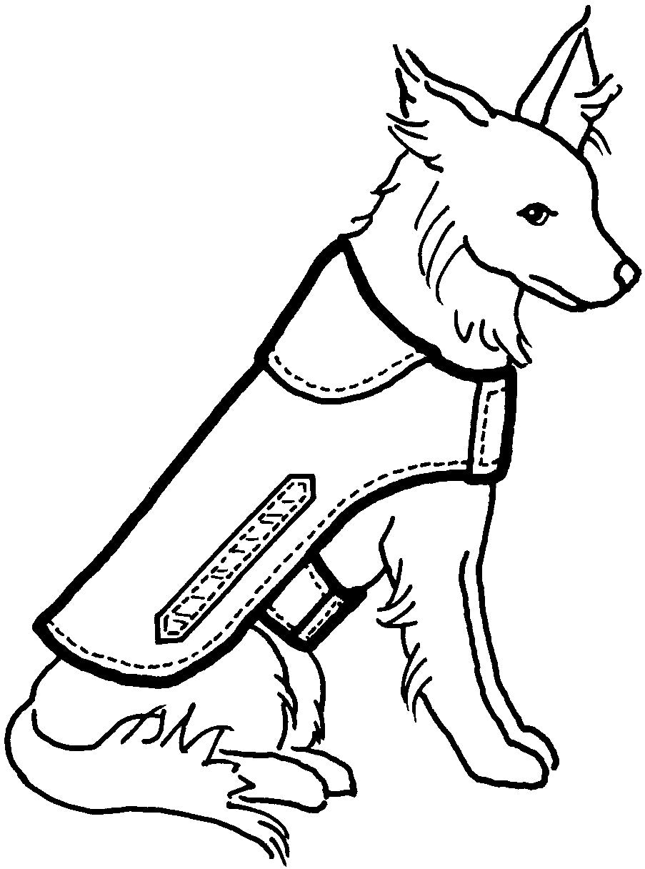 553 – Warm & Dry Dog Coat Pattern