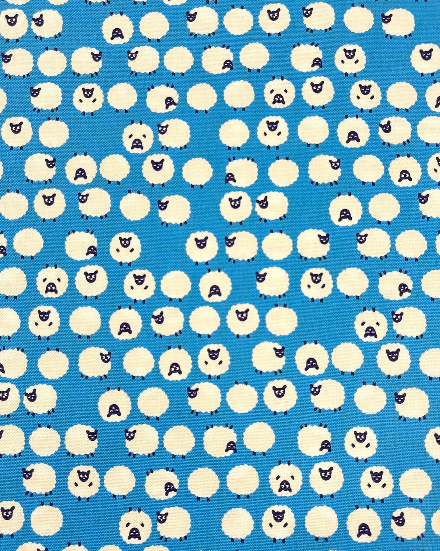 Simply Palette Sheep - COTTON OXFORD 7oz - Cyan - homesewn