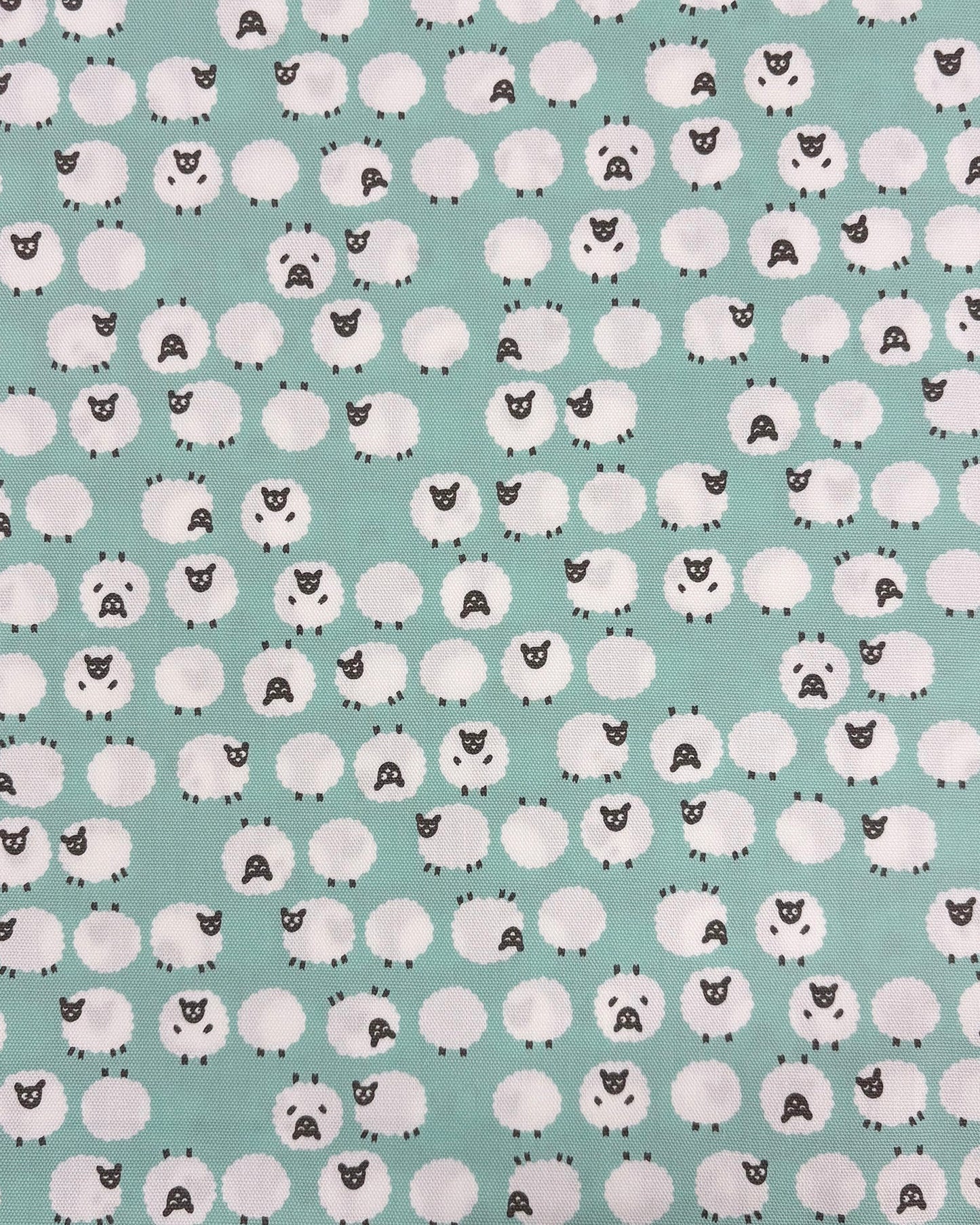 Simply Palette Sheep - COTTON OXFORD 7oz - Mint - homesewn