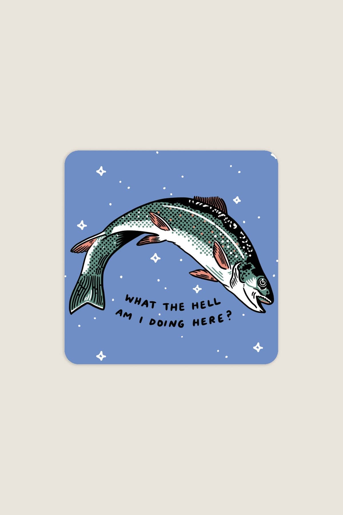 What The Hell Sticker | Waterproof Vinyl Sticker - homesewn