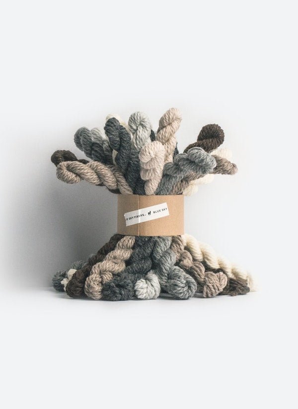 Woolstok Worsted Mini Skein Bundle - homesewn